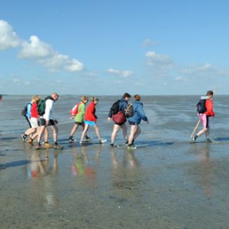 Wattwanderungen in Norddeich | Die Erste